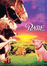 Babe ● Vj Emmy