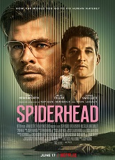 SpiderHead ● Vj Junior