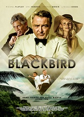 Blackbird ● Vj Junior