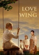 Love Takes Wing  ● Vj Junior