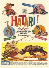 Hatari ● Vj Emmy