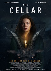 The Cellar ● Vj Jingo