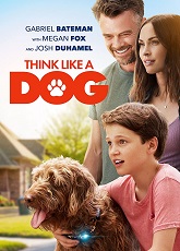 Think Like A Dog ● Vj Emmy