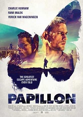 Papillon ● Vj Junior