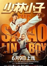 The Shaolin Boy ● Vj Ice P