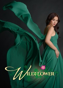 Wildflower ● Vj Junior