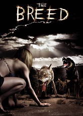 Breed ● Vj Emmy