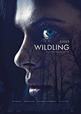 Wildling ● Vj Tom