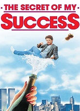 The Secret of My Success ● Vj Tom