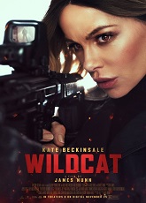 Wildcat ● Vj Junior