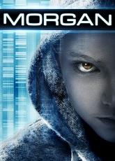 Morgan ● Vj Junior