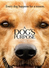 A Dog\'s Purpose ● Vj Jimmy