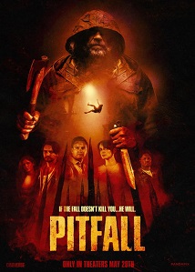 Pitfall ● Vj Junior
