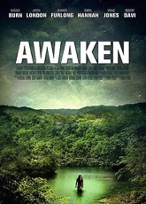 Awaken: A Perfect Vacation ● Vj Ice P