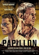 Papillon  ● Vj Emmy