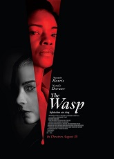 The Wasp ● Vj Junior