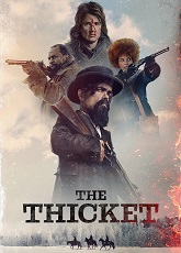 The Thicket ● Vj Muba
