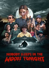 Nobody Sleeps in the Woods Tonight ● Vj Emmy