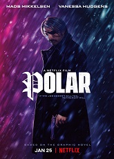 Polar ● Vj Junior