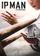Ip Man: The Awakening ● Vj Junior