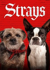 The Strays ● Vj Ulio