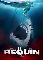 The Requin ● Vj Emmy