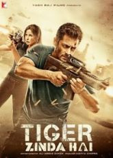 Tiger Zinda Hai ● Vj Emmy