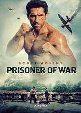Prisoner of War ● Vj Emmy